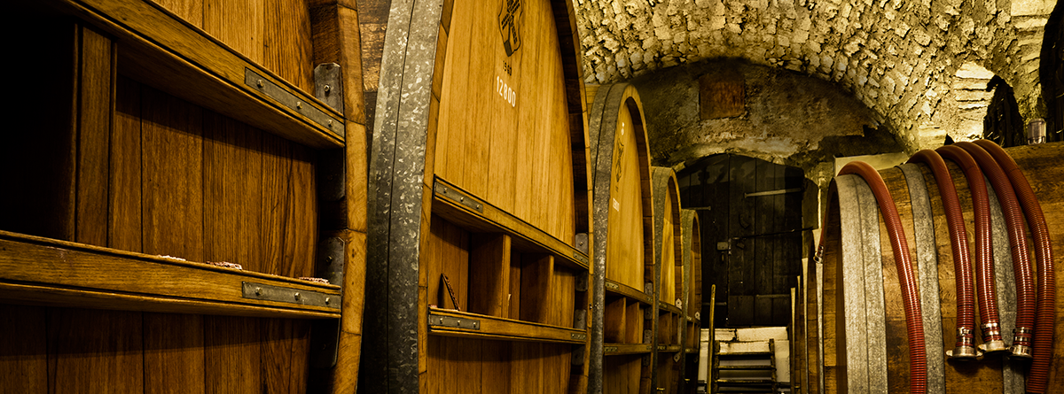 Les caves du Château d'Auvernier Les caves du Château d'Auvernier