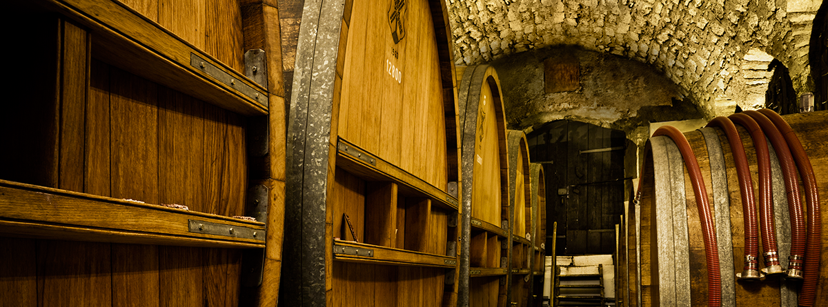 Wine cellar Château d'Auvernier